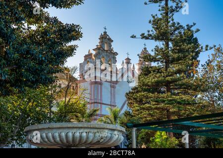 Alameda de Apodaca, un parc public et un exemple du style éclectique du régionalisme à Cadix, avec Ficus géant et un banc décoré de Sevi Banque D'Images