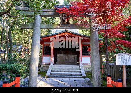 Portes torii avant le sanctuaire en automne Banque D'Images