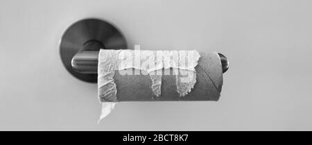 Rouleau de papier toilette vide montrant COVID-19 panique achat pénurie de coronavirus stockage rouleaux à la maison dans la crainte de l'épidémie de virus corona fermeture des magasins. Banque D'Images