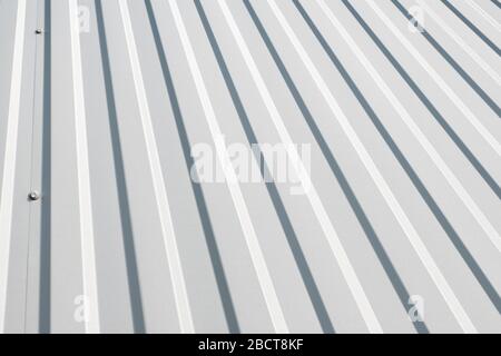 Surface de tôle ondulée blanche du mur. Galvaniser l'arrière-plan en acier. Banque D'Images
