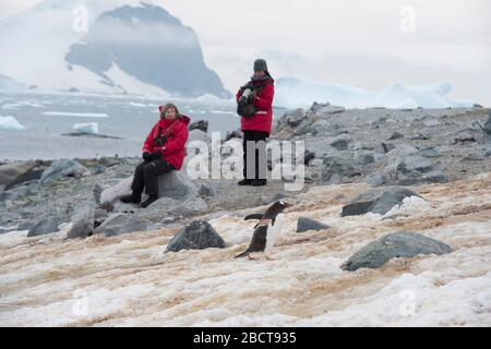 Les touristes visitent l'île Danco péninsule antarctique à partir du navire de croisière MS Expedition Banque D'Images