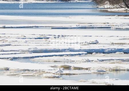 Ressort. Petite rivière au printemps. Fonte de la neige et de la dérive de glace Banque D'Images
