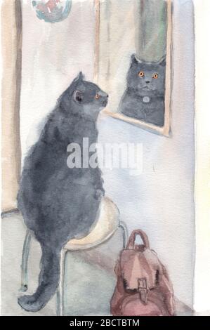 Le chat et le miroir, illustration aquarelle Banque D'Images