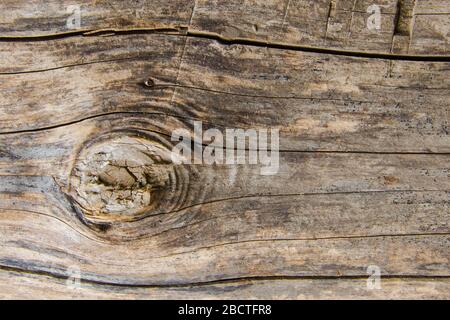 sec vieux bois gris en bois journal Banque D'Images