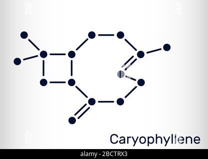 Caryophyllène, bêta-caryophyllène, molécule de Ca-24. C'est le sesquiterpène bicyclique naturel qui est un constituant de nombreuses huiles essentielles. structure chem Illustration de Vecteur