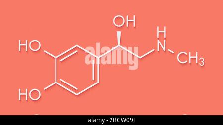 Molécule de neurotransmetteur d'adrénaline (adrénaline, épinéphrine). Utilisé comme médicament dans le traitement de la formule squelette anaphylactique. Banque D'Images