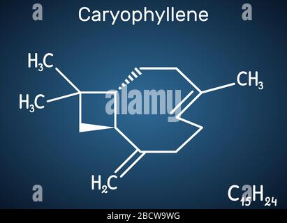 Caryophyllène, bêta-caryophyllène, molécule de Ca-24. C'est le sesquiterpène bicyclique naturel qui est un constituant de nombreuses huiles essentielles. structure chem Illustration de Vecteur