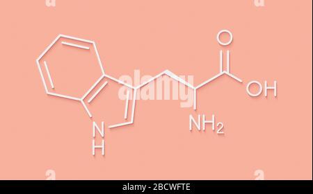 Molécule d'acide aminé tryptophane (l-tryptophane, TRP, W). Formule du squelette. Banque D'Images