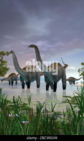 Concept d'un troupeau de dinosaures d'Apatosaure en eaux peu profondes, rendu tridimensionnel Banque D'Images