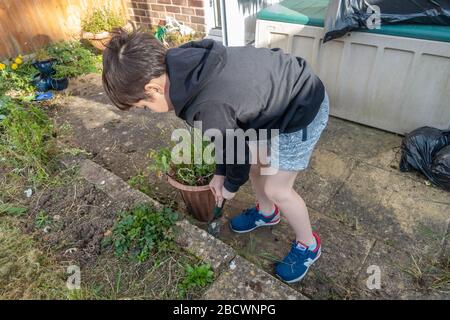 Un jeune garçon creusant des mauvaises herbes à l'aide d'une truelle à main dans le jardin. Banque D'Images