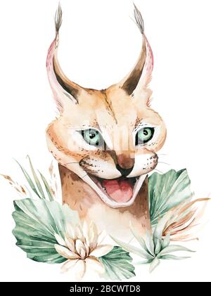 Image d'un chat de Caracal pur-sang. Peinture aquarelle. Illustration de Vecteur