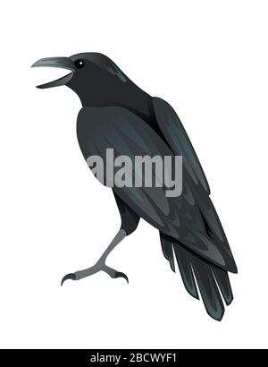 Oiseau corbeau noir dessin de caricature corneille dessin d'animal vectoriel plat isolé sur fond blanc Illustration de Vecteur
