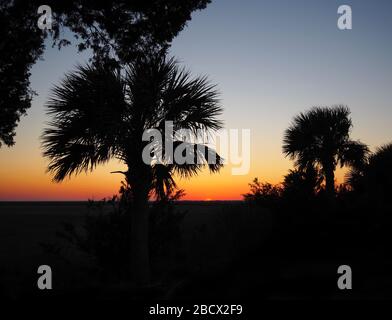 Les palmiers au bord d'un marais dans les basses terres de la Géorgie côtière sont silhouettés contre un coucher de soleil brillant. Banque D'Images