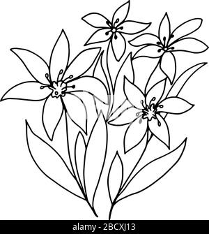 Image vectorielle noir et blanc d'une fleur dans un style linéaire closeup. Pour l'impression sur t-shirt, couvertures de téléphone, cartes postales, papier d'emballage Illustration de Vecteur