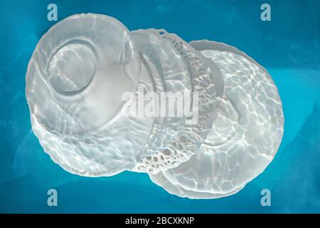 Assiettes et plats en porcelaine trempés dans l'eau avec des vagues et des ondulations, faisant des plats concept Banque D'Images