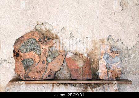 Crinoïdes fossiles pétrifiés (nénuphars, féatherstars) en pierre sur une étagère sur un mur d'adobe Banque D'Images