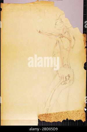 Etude d'anatomie. Banque D'Images
