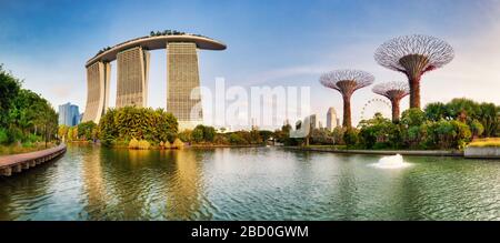 SINGAPOUR - 27 FÉVRIER 2019 : jardin de superarbre de Singapour dans Marina Bay le jour, personne Banque D'Images