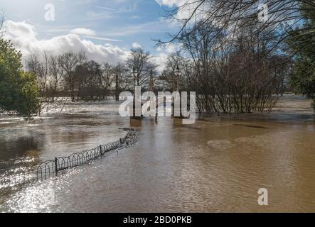 Pont de pied Victoria sous un déluge d'eau d'inondation comme des niveaux record sont rapportés sur la rivière Wye. Hereford Herefordshire Royaume-Uni. Février 2020 Banque D'Images