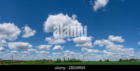 Panorama d'un champ ouvert avec des nuages blancs moelleux contre un ciel bleu. Perry Green, beaucoup Hadham, Hertfordshire. ROYAUME-UNI Banque D'Images
