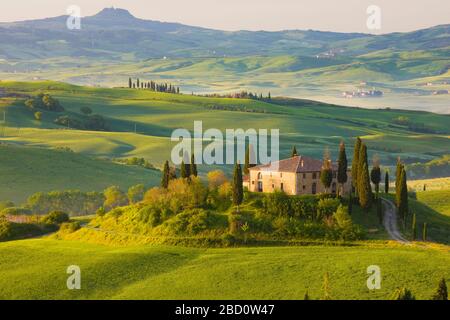 Italie, Toscane, la Crète, Pienza, Maison de la ferme, Rolling Hills Banque D'Images