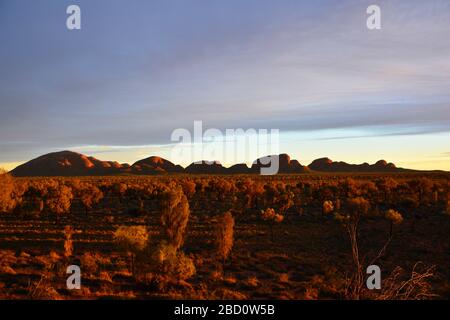 Kata Tjuta, Australie; vue panoramique au lever du soleil tôt le matin sur l'Olgas, une grande formation de roches bombées dans le territoire du Nord montrant dis Banque D'Images
