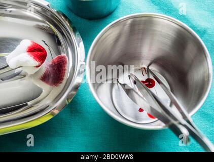 Chirurgie ciseaux avec torundas imbibé de sang sur un plateau métal dans une salle d'opération, la composition horizontale, conceptual image Banque D'Images