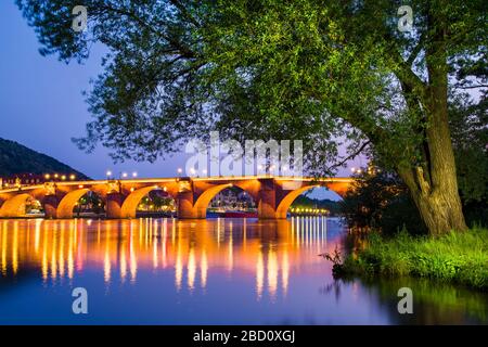 Heidelberg, Allemagne, des couleurs de crépuscule rêveuses sur la rivière Neckar avec la vieille ville et le pont, encadrés par un vieux arbre Banque D'Images