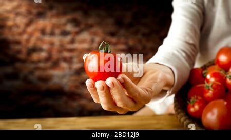 Main de femme tenant la tomate rouge et le fond de table en bois avec des tomates mûres fraîches dans un bol de panier en osier et un espace de copie pour la nourriture et les produits. Banque D'Images