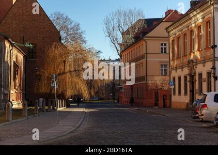 Rue pavée près de la cathédrale de Wroclaw de Saint Jean-Baptiste avec de beaux arbres avec de fines branches suspendues dans les rayons du soleil du matin d'hiver. Banque D'Images