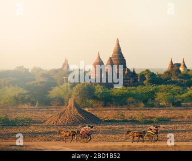 Le cheval Buggy traverse les plaines de Bagan contre de belles stupas en forme de cloche Myanmar Birmanie Banque D'Images