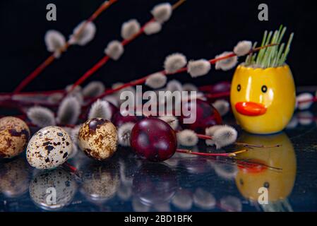 Branches de saule, œufs peints et canard en céramique avec du blé dépoli sur un comptoir en verre foncé. Banque D'Images