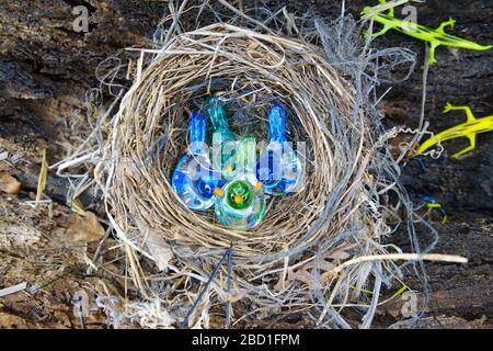 oiseaux faits de verre à l'intérieur du nid d'oiseau. décorations en verre, articles-cadeaux. technique de soufflage de verre Banque D'Images