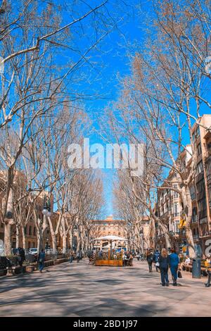 Palma, Majorque / Espagne - 26 mars 2018: Passeig del né dans la capitale Palma de Majorque. Les touristes se promenant dans la rue commerçante pendant un d ensoleillé Banque D'Images