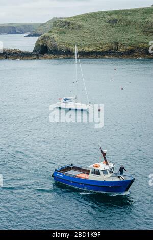 Skomer Island, Pays de Galles - 1er juillet 2017 : promenade en bateau à vide Dale Princess pour aller chercher les gens un jour d'été nuageux - Martin's Haven Pembrokeshire UK Banque D'Images