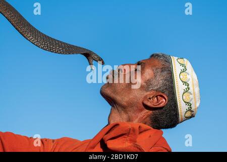 Charmer de serpent, Djemaa el Fna, Marrakech, Maroc, Afrique du Nord, Afrique Banque D'Images