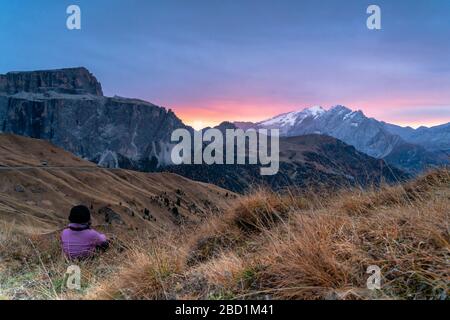 Vue arrière de la femme assise sur l'herbe en admirant le lever du soleil sur Marmolada et Sass Pordoi, Passo Sella, Dolomites, Tyrol du Sud, Italie, Europe Banque D'Images