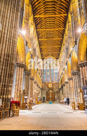 Vue intérieure de la cathédrale de Glasgow, Glasgow, Écosse, Royaume-Uni, Europe Banque D'Images