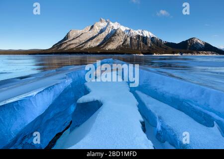 Formations de glace avec le Mont Michener en arrière-plan au lever du soleil, le lac Abraham, les plaines Kootenay, l'Alberta, les Rocheuses canadiennes, le Canada, l'Amérique du Nord Banque D'Images