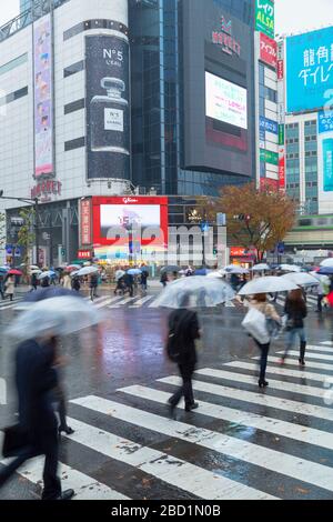 Les gens qui traversent Shibuya Crossing, Shibuya, Tokyo, Honshu, Japon, Asie Banque D'Images