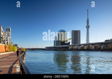 Skytree et Sumida River, Tokyo, Honshu, Japon, Asie Banque D'Images