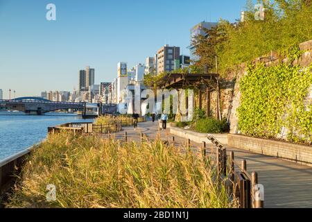 On marche le long de la rivière Sumida, Tokyo, Honshu, Japon, Asie Banque D'Images