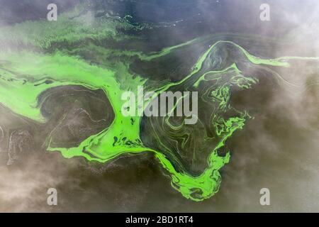 Vue aérienne par drone de tourbillons d'algues vertes dans un lac d'eau douce, Roadford Lake, Devon, Angleterre, Royaume-Uni, Europe Banque D'Images