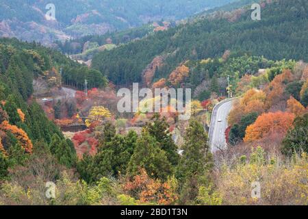 Voitures traversant des arbres automnales, Magome, préfecture de Gifu, Honshu, Japon, Asie Banque D'Images
