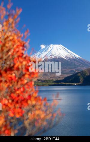 Mont Fuji, site classé au patrimoine mondial de l'UNESCO, et lac Motosu, préfecture de Yamanashi, Honshu, Japon, Asie Banque D'Images