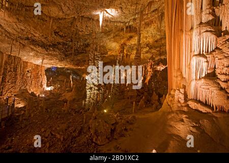 Corail de grotte à la réserve naturelle de la grotte de Soreq stalactite (également appelée grotte d'Avshalom). Cette grotte de 82 mètres de long de 60 mètres de large se trouve sur les pentes occidentales de Banque D'Images