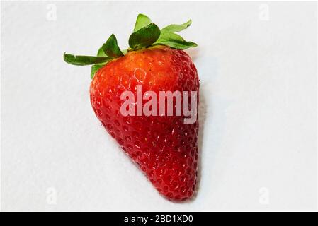 toujours la vie de quelques délicieuses fraises rouges avec fond blanc Banque D'Images