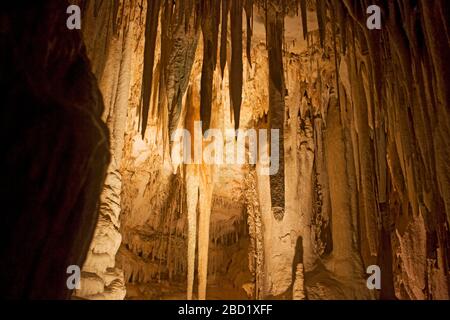 Corail de grotte à la réserve naturelle de la grotte de Soreq stalactite (également appelée grotte d'Avshalom). Cette grotte de 82 mètres de long de 60 mètres de large se trouve sur les pentes occidentales de Banque D'Images