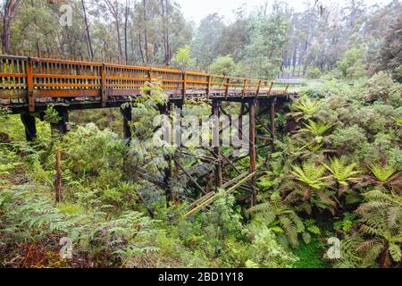 Pont ferroviaire Noojee Trestle à Victoria, Australie Banque D'Images