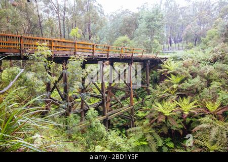 Pont ferroviaire Noojee Trestle à Victoria, Australie Banque D'Images